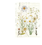 Botanical DIY Craft Stickers